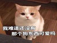 福乐堂药业（广州）有限公司