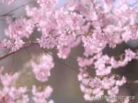 福乐堂药业（广州）有限公司