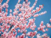 福乐堂药业（广州）有限公司