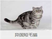 福乐堂药业（广州）有限公司