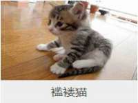 福乐堂药业（广州）有限公司