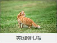 福乐堂药业（广州）有限公司