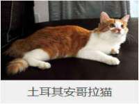 福乐堂药业（广州）有限公司