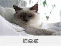 福乐堂药业（广州）有限公司