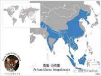 福乐堂药业（广州）有限公司