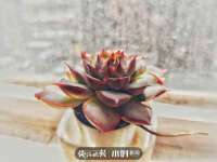 福乐堂药业（广州）有限公司