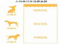 福乐堂药业（广州）有限公司