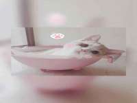 福乐堂药业（广州）有限公司