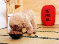 福乐堂药业（广州）有限公司