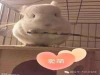 福乐堂药业（广州）有限公司
