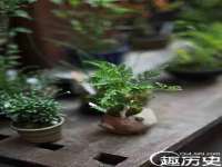 福乐堂药业（广州）有限公司