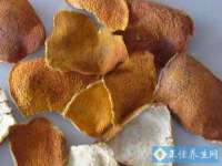 福乐堂药业（广州）有限公司