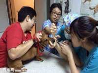 福乐堂药业（广州）有限公司