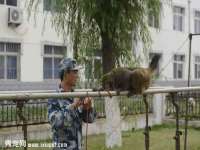 福乐堂药业（广州）有限公司