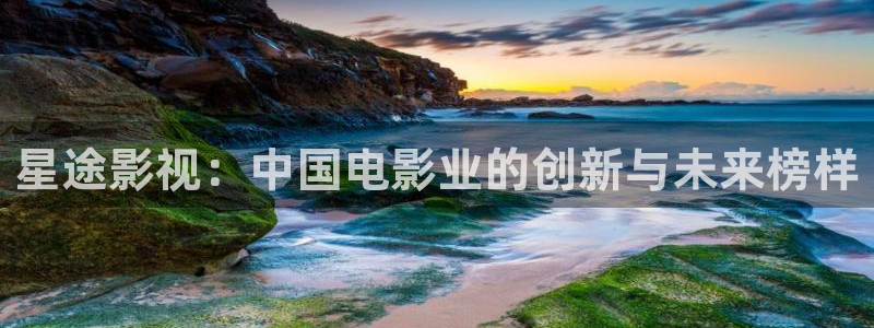 星空影视传媒免费观看