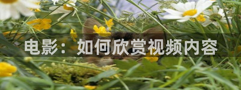新闻图片