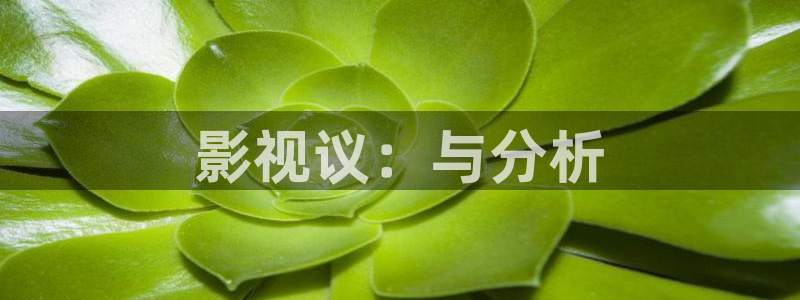 新闻图片